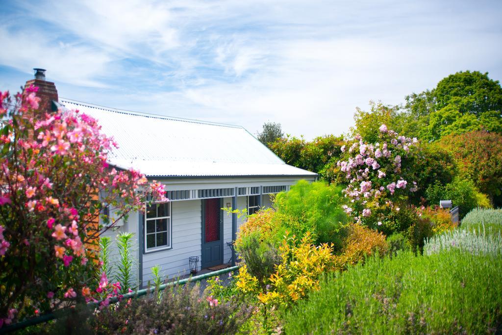 Fortuna Cottage Daylesford Exteriér fotografie